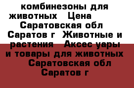 комбинезоны для животных › Цена ­ 380 - Саратовская обл., Саратов г. Животные и растения » Аксесcуары и товары для животных   . Саратовская обл.,Саратов г.